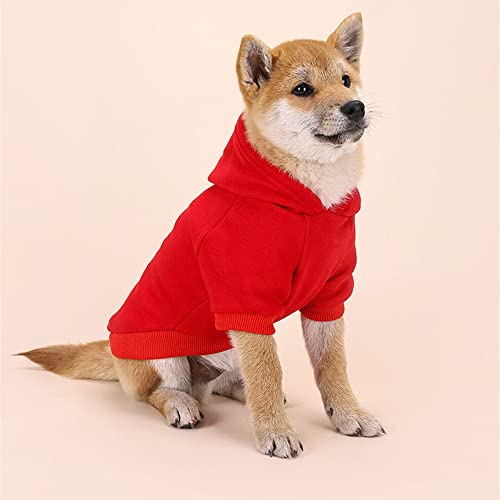 Ropa Perro pequeño, Sudadera con Capucha de Moda, Ropa Chihuahua, Abrigo Perro Adecuado para Perros pequeños Gatos (M Rojo)