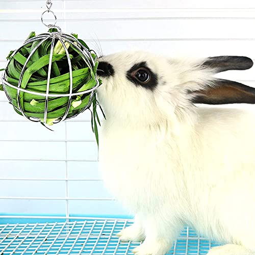 RoxNvm Bola de Heno, 2PCS Bola Comedero Conejo de Acero Inoxidable, Dispensador de Alimentos para Mascotas con Gancho para Colgar, para Conejillos de Indias Chinchillas Hámsteres Animales Pequeños