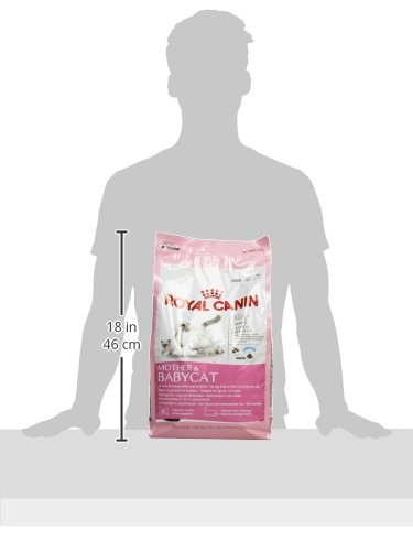 Royal Canin C-58424 Baby Gato - 4 Kg