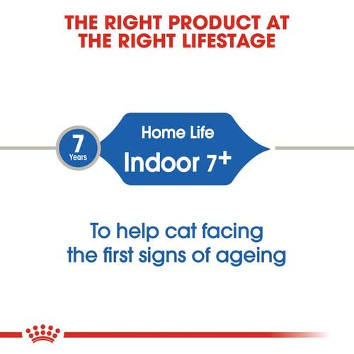 Royal Canin C-584995 Indoor +7 - 3.5 Kg