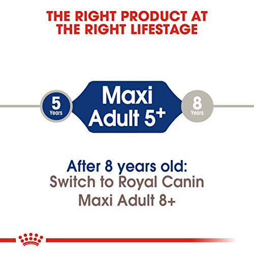 Royal Canin Comida para perros Maxi Adult +5 4 Kg