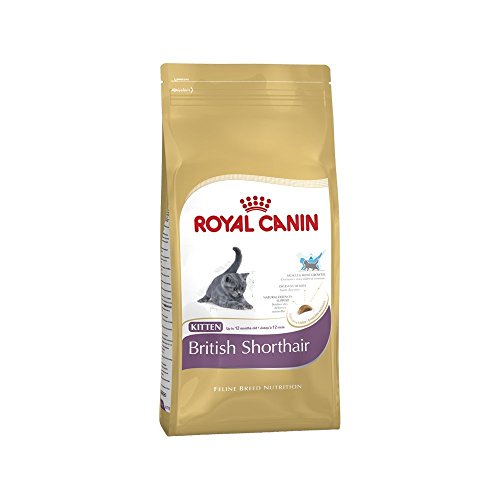 Royal Canin Feline Kitten British Shorthair 400 g, Comida para gatos, Comida seca