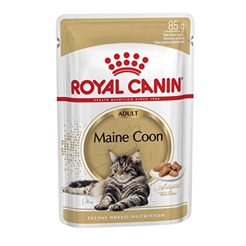 Royal Canin -felino Breed Nutrición Wet Maine Coon Adulto, 12x85g