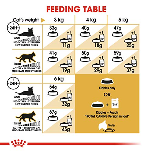 ROYAL CANIN Persian Secco Gato kg. 10 comederos para Gatos en Forma de croquetas, Multicolor, único