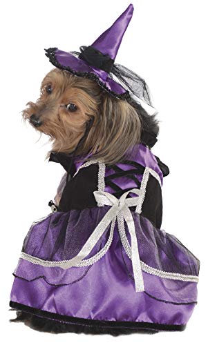 Rubie'S Disfraz para Mascota, pequeño, Vestido de Bruja Morado y Sombrero.