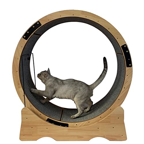 Rueda Ejercicio Para Gatos, Rueda Para Correr Para Gatos, Cinta Correr Para Gatos Para Todo Tipo de Actividades: Correr, Rascar, Escalar Y Tomar Siestas Para Gatos Grandes, Gatitos, Perros Pequeños