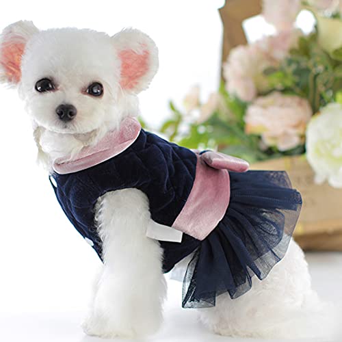 Rutaqian Vestido para Mascota, Vestido De Otoño Invierno, Falda De Tela con Cuello De Muñeca, Dobladillo De Hilo De Red, Falda De Princesa Perrito Azul Real SG