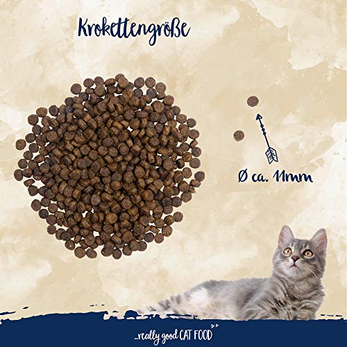 Sanabelle Sensitive con cordero | Alimento seco para gatos nutricionalmente sensibles | 1 x 10 kg