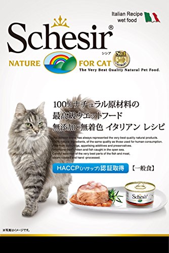 Schesir Gato 85 gr Kitten atún con Aloe