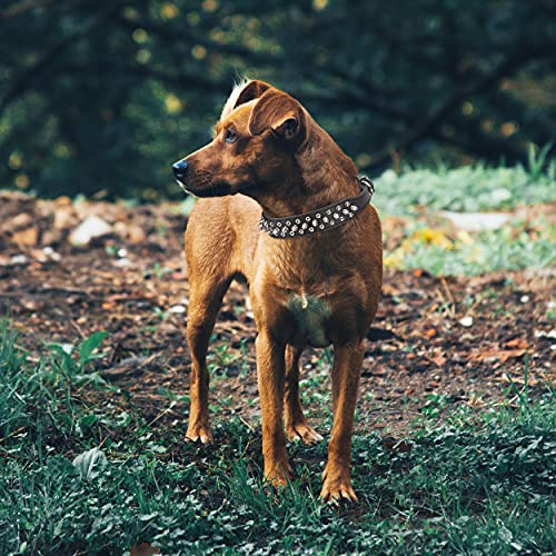 SEKAYISORE Collar de perro ajustable con tachuelas, de piel de microfibra con pinchos para cachorros, collar antimordeduras para perros pequeños, medianos y grandes, morado XS