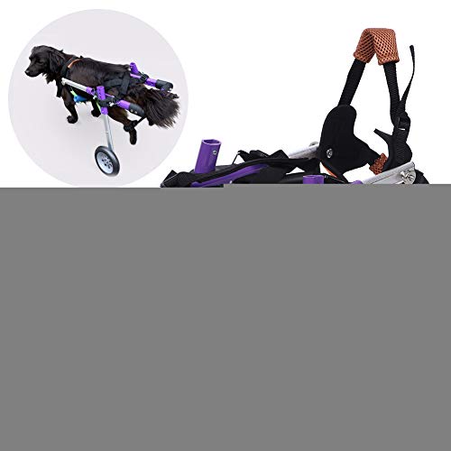 Semiter Regalo de verano Coche de Paseo asistido por Perro, Silla de Ruedas Doble de Aluminio púrpura para Mascotas, Perro discapacitado para Mascota Pata Trasera(Purple, Second Round XS)