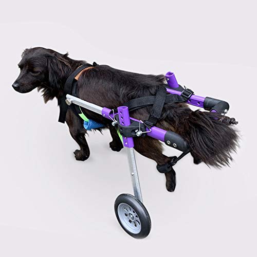 Semiter Regalo de verano Coche de Paseo asistido por Perro, Silla de Ruedas Doble de Aluminio púrpura para Mascotas, Perro discapacitado para Mascota Pata Trasera(Purple, Second Round XS)