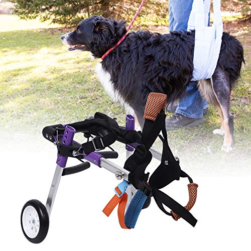 Semiter Regalo de verano Coche de Paseo asistido por Perro, Silla de Ruedas Doble de Aluminio púrpura para Mascotas, Perro discapacitado para Mascota Pata Trasera(Purple, Second Round XS)