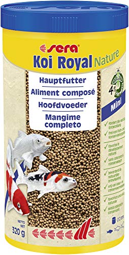 Sera - Alimento completo Koi Royal Mini (2 mm) para el desarrollo óptimo de peces Koi hasta 12 cm, con prebióticos para un mejor aprovechamiento del alimento, menor carga de agua y menos algas