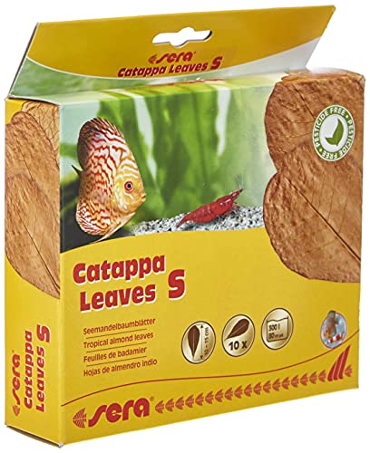 sera Catappa Leaves S 10-15cm 10pcs