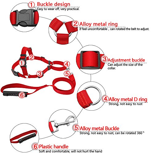 Set de correa y arnés para perro Berry no-pull de nailon para facilitar los paseos, entrenamientos, escaladas y senderismo