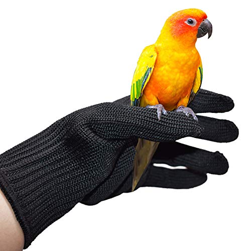 SH-RuiDu Guantes antimordedura de entrenamiento de aves Guantes de manipulación de animales pequeños Guantes de alambre de acero de protección para masticar