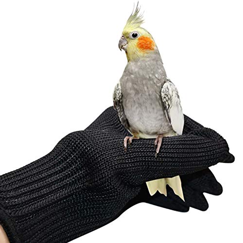 SH-RuiDu Guantes antimordedura de entrenamiento de aves Guantes de manipulación de animales pequeños Guantes de alambre de acero de protección para masticar