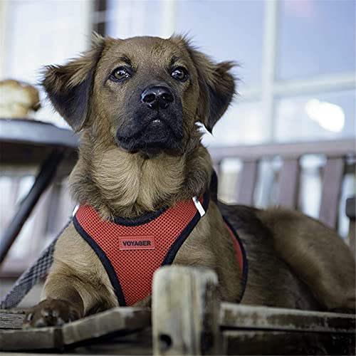 SHAIYOU Arnés De Aire para Perros con Escalones: Malla para Todo Clima, Arnés De Chaleco con Escalones para Perros Pequeños Y Medianos (XS,Negro)