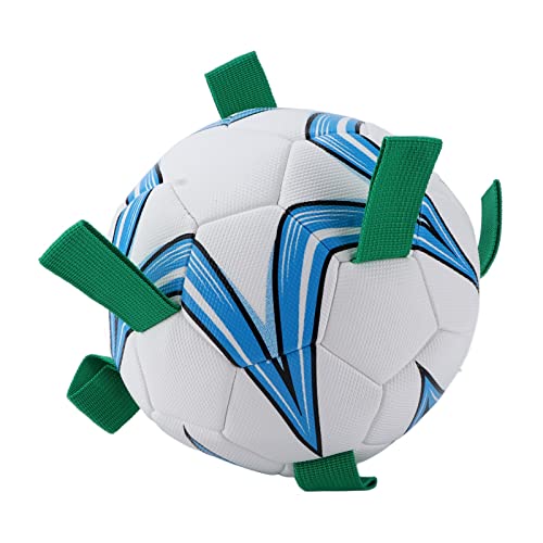 Shanrya Grab Tabs Fútbol para Perros, Balón de Fútbol para Perros, Ligero, Flexible, Multifuncional, Interactivo para Perros Pequeños Y Medianos(Azul Medio)