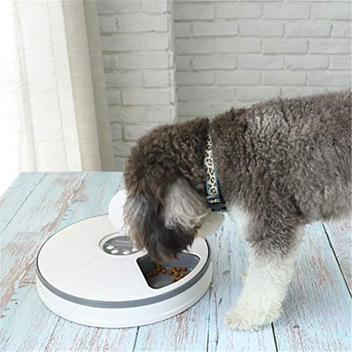 shuxuanltd Comedero Automatico Perros Dispensador Comida Gatos Microchip Gato alimentador Gato de Almacenamiento de Alimentos Gray