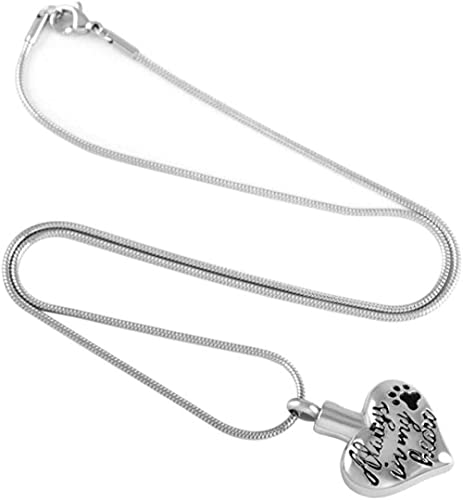 Siempre en mi corazón Collar de urna de cremación de recuerdo con estampado de pata Collar de acero inoxidable para cenizas de mascotas Joyería conmemorativa