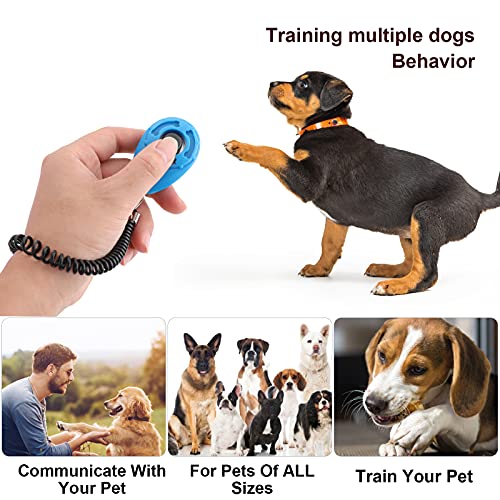 Silbato y clicker para entrenamiento de perros, silbato para perros con cordón, clicker para perros, kit de entrenamiento para mascotas, ideal para el entrenamiento de cachorros de mascotas (Blau)