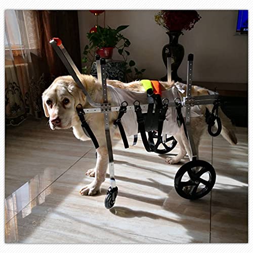 Silla de ruedas para perros de 4 ruedas, soporte de cuerpo completo ajustable DOGGIE / Carrito de cachorro, rehabilitación de la pata delantera, banda de vientre gratis para protección contra la colum