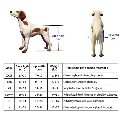 Silla de ruedas para perros de 4 ruedas, soporte de cuerpo completo ajustable DOGGIE / Carrito de cachorro, rehabilitación de la pata delantera, banda de vientre gratis para protección contra la colum