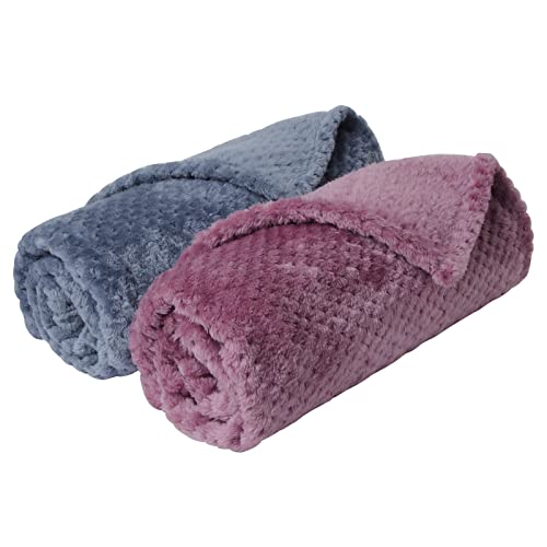 SLSON Paquete de 2 mantas para perros, lavables, suaves y cálidas, para fundas de cama, mantas para gatos, para sofá, coche, viajes, 70 x 100 cm, morado y azul oscuro