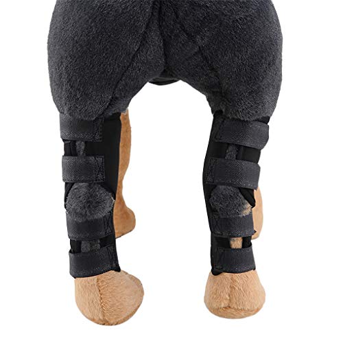 soporte para patas de perro , patas delanteras traseras caninas, apoyo de compresión, vendas de compresión con correas para proteger las piernas del perro, para heridas, esguinces de artritis.