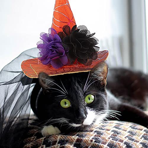 STOBOK 2 Piezas Halloween Gato Mascota Mago Disfraz Araña Web Impresa Bruja Sombrero Mascotas Disfraz Ropa para Gatito para Halloween Cosplay Fiesta