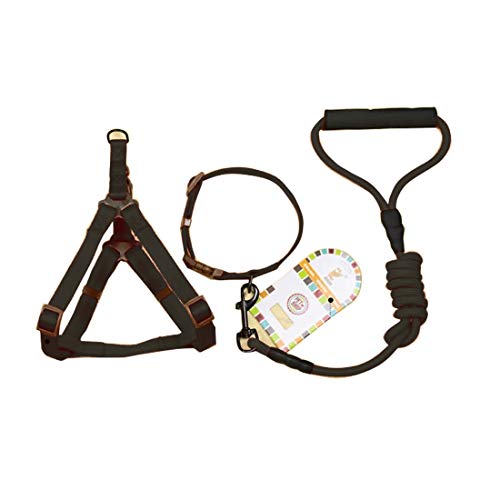 Strimm Collar para perro + arnés + correa + tres juegos de correa, L, tamaño del pecho del arnés: 57-90 cm, tamaño del cuello: 40-64 cm, peso de la mascota: 35 kg por debajo