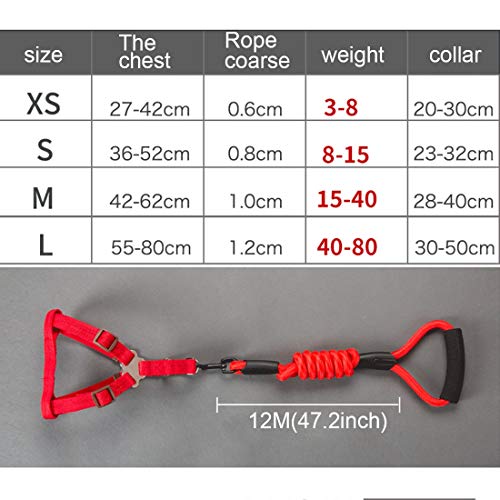 Strimm Collar para perro + arnés + correa + tres juegos de correa, L, tamaño del pecho del arnés: 57-90 cm, tamaño del cuello: 40-64 cm, peso de la mascota: 35 kg por debajo