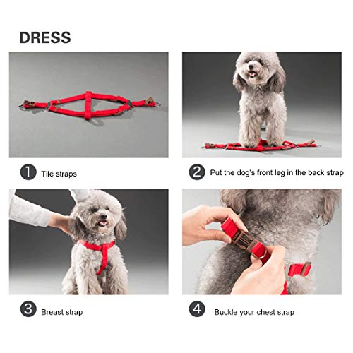 Strimm Collar para perro + arnés + correa + tres juegos de correa, L, tamaño del pecho del arnés: 57-90 cm, tamaño del cuello: 40-64 cm, peso de la mascota: 35 kg por debajo