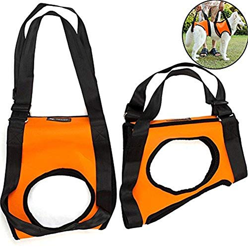 Sunfauo Arnes Perro Grande Arnes Perro Patas Traseras Soporte de Cadera para Perros Perro Levantar Apoyo Caminando Mascota Ayuda Perro Llevar Honda Orange,Front-Leg-l