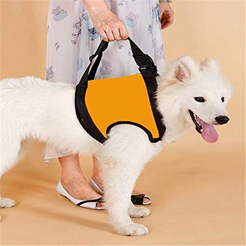 Sunfauo Arnes Perro Grande Arnes Perro Patas Traseras Soporte de Cadera para Perros Perro Levantar Apoyo Caminando Mascota Ayuda Perro Llevar Honda Orange,Front-Leg-l