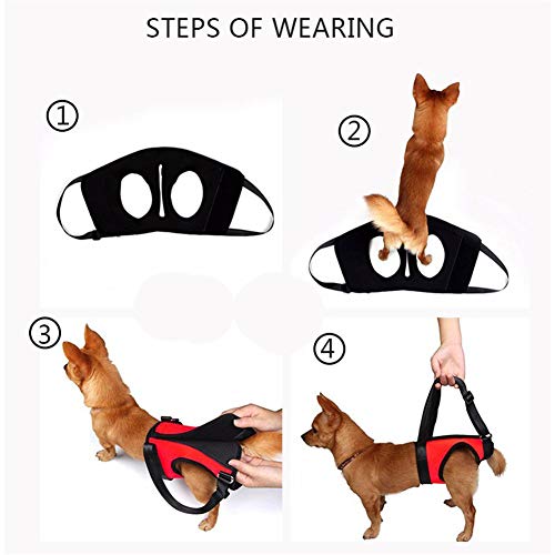 Sunfauo Arnes Perro Grande Arnes Perro Patas Traseras Soporte de Cadera para Perros Perro Levantar Apoyo Caminando Mascota Ayuda Perro Llevar Honda Orange,Front-Leg-l