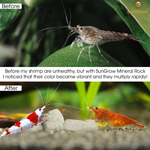 SunGrow Rocas Minerales, Le Da a Los Tanques Un Aspecto Rústico, Realza El Color De Los Peces