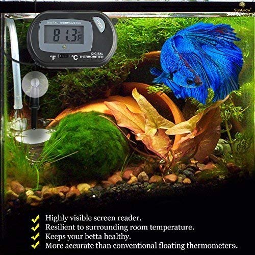 SunGrow Termómetro de neón Tetra con pantalla LCD, lee con precisión la temperatura del agua del tanque, batería y 2 ventosas incluidas para una instalación rápida, 1 paquete