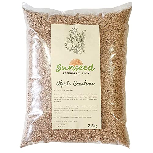 Sunseed Alpiste Canadiense para pájaros. Apta para verderones, jilgueros, Canarios, pinzones, diamentes, periquitos y Otras Aves Silvestres 2.5 Kg