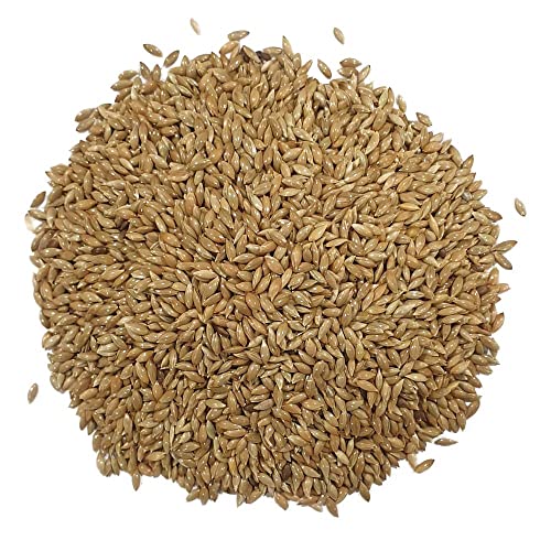 Sunseed Alpiste Canadiense para pájaros. Apta para verderones, jilgueros, Canarios, pinzones, diamentes, periquitos y Otras Aves Silvestres 2.5 Kg