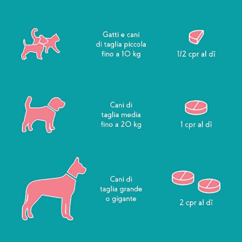 Suprapet Fegapet - Soporte para el hígado de perros y gatos 30 tabletas - Alimento complementario natural para funciones hepatobiliares con vitaminas, cardo mariano, alcachofa, cúrcuma, lespedeza