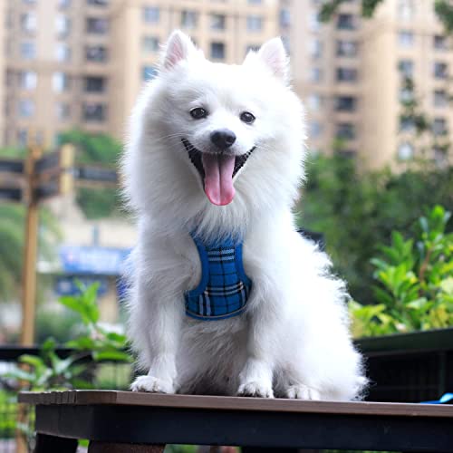 Suredoo Arnés para Perro Pequeños con Correa, Arnés Antitirones Reflectante Cómodo Transpirable Arneses Chaleco para Perros Pequeños Gatos, Cachorros (XS, Azul a Cuadros)