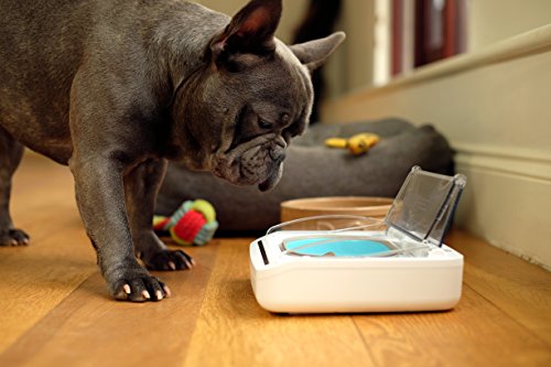 SureFlap SureFeed Sellado Pet Bowl, Color Blanco