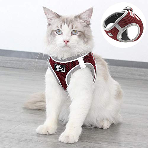 SYQY Ensemble de harnais et de laisse de Gilet de Chat réfléchissant pour animaux de compagnie en nid d'abeille respirant chiot harnais de Chat Katten Gota mascottes Accessoires pour Chats-Gris_XS