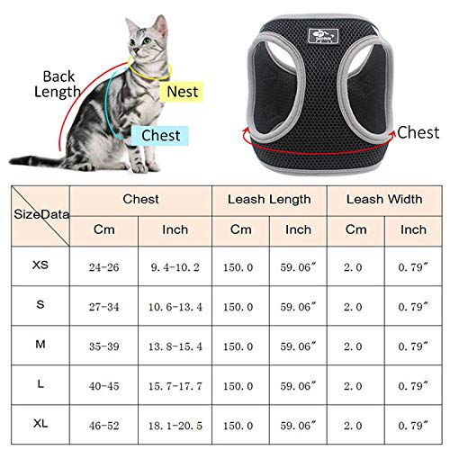 SYQY Ensemble de harnais et de laisse de Gilet de Chat réfléchissant pour animaux de compagnie en nid d'abeille respirant chiot harnais de Chat Katten Gota mascottes Accessoires pour Chats-Gris_XS