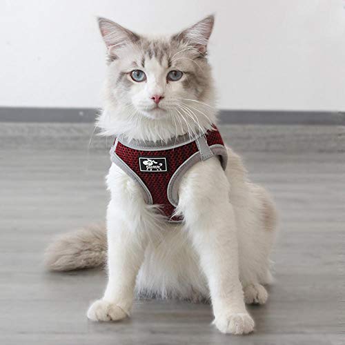 SYQY Ensemble de harnais et de laisse de Gilet de Chat réfléchissant pour animaux de compagnie en nid d'abeille respirant chiot harnais de Chat Katten Gota mascottes Accessoires pour Chats-Gris_L