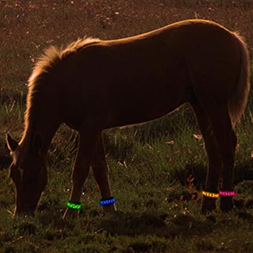 T TOOYFUL 4 Piezas de Iluminación LED, Correa para Pierna de Caballo, Cinturón Reflectante, Deporte Al Aire Libre Nocturno