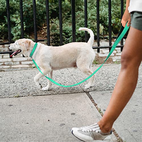 TagME Collar Perro Ajustable,Collar Nylon Reflectante,para Caminar Correr Entrenamiento,para Perros Grandes,Turquesa,2.5cm De Ancho